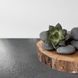 Самоклеюча LVT плитка 600х600х1.5мм (D) SW-00001595 SW-00001595 фото 7